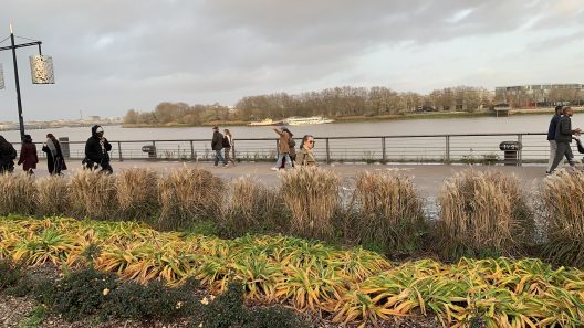 IA et collectivités : Bordeaux Métropole avance avec prudence