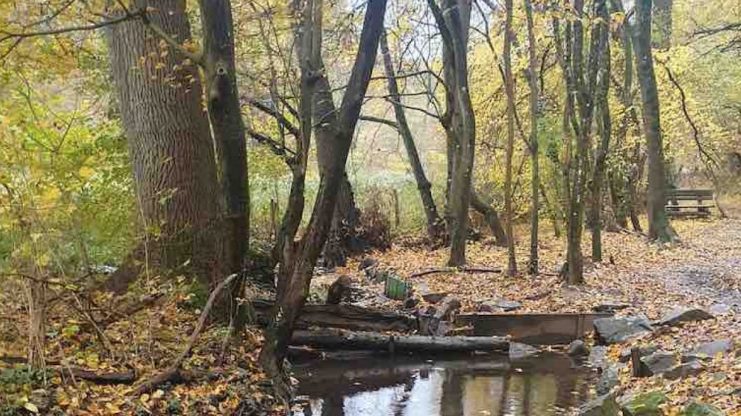Créon : dysfonctionnements en série à la station d’épuration, le ruisseau en paie le prix