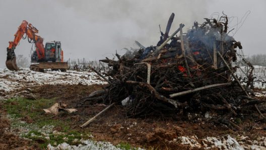 Saint-Yzans-de-Médoc : la crise viticole endeuillée par un nouveau drame