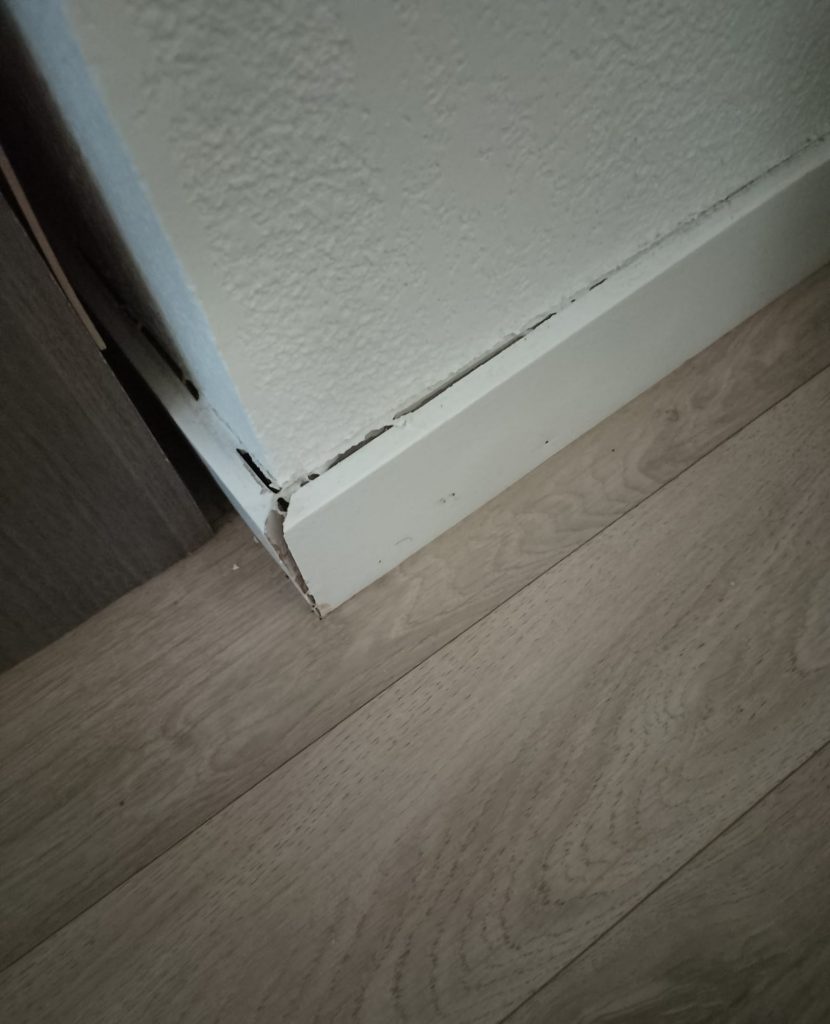 Six mois sans travaux : à Parempuyre, une famille dénonce l’inaction de Gironde Habitat, après une répétition de sinistre