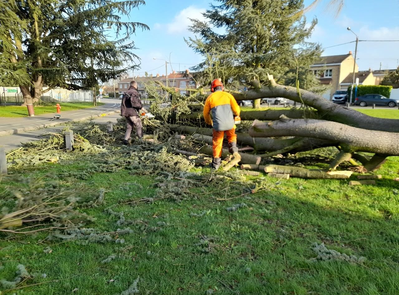 Pannes simultanées dans le sud-girondin après les vents violents de la tempête Goretti