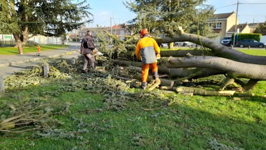 Pannes simultanées dans le sud-girondin après les vents violents de la tempête Goretti