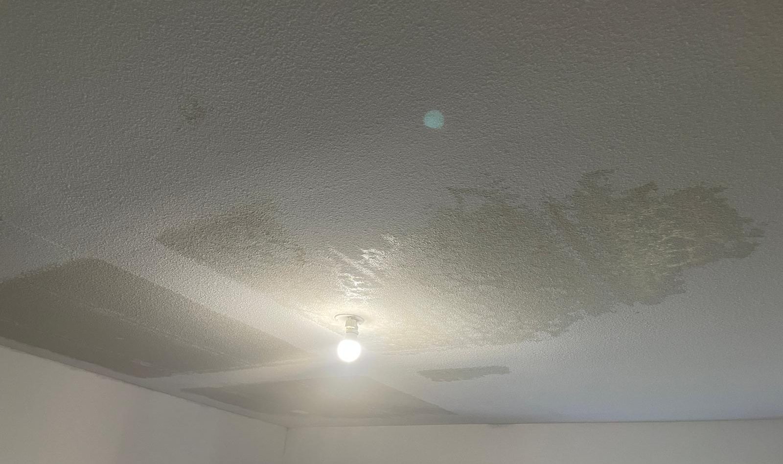 Six mois sans travaux : à Parempuyre, une famille dénonce l’inaction de Gironde Habitat, après une répétition de sinistre