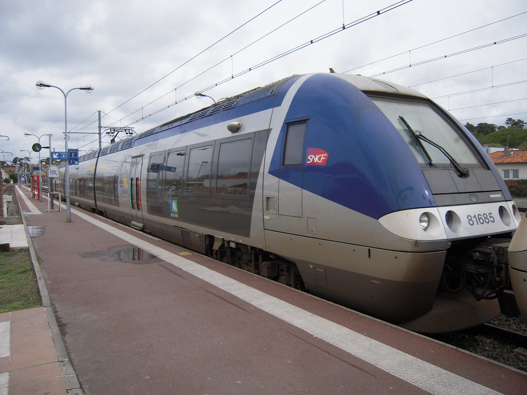 Arbres sur la ligne : forte perturbation des trains entre le Médoc et Bordeaux