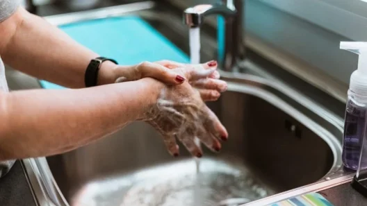 Transition écologique : la Ville de Bordeaux aide les foyers à économiser l’eau avec des kits gratuits