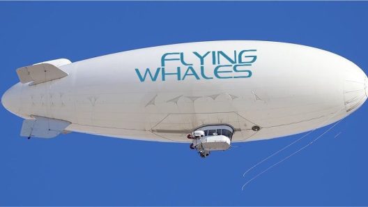 Gironde : la justice saisie pour suspendre l’usine de dirigeables Flying Whales