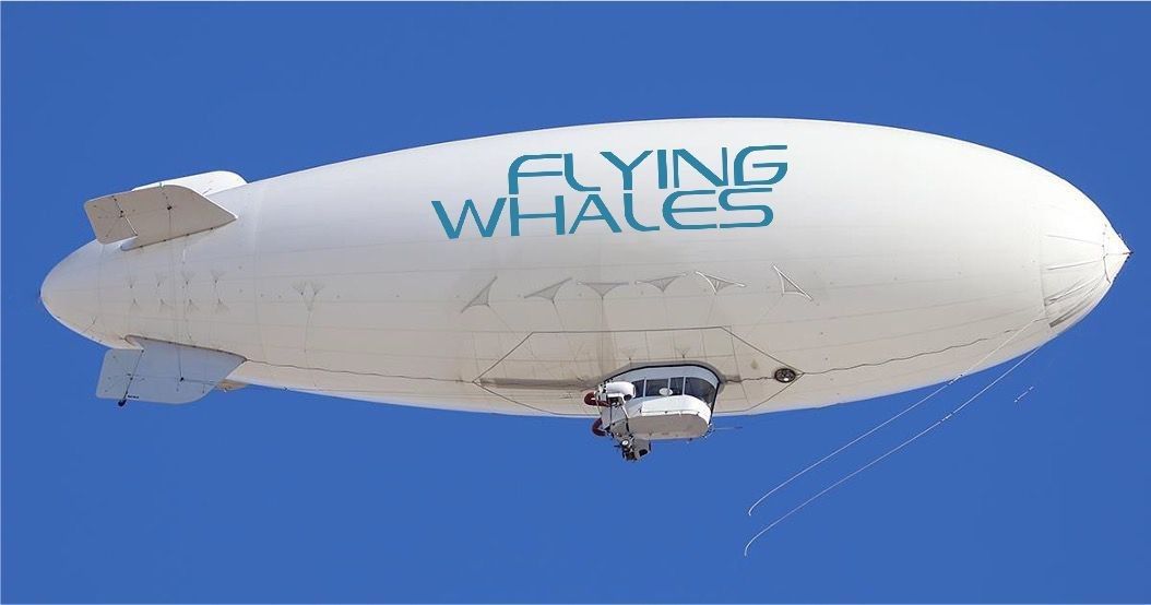 Gironde : la justice saisie pour suspendre l’usine de dirigeables Flying Whales