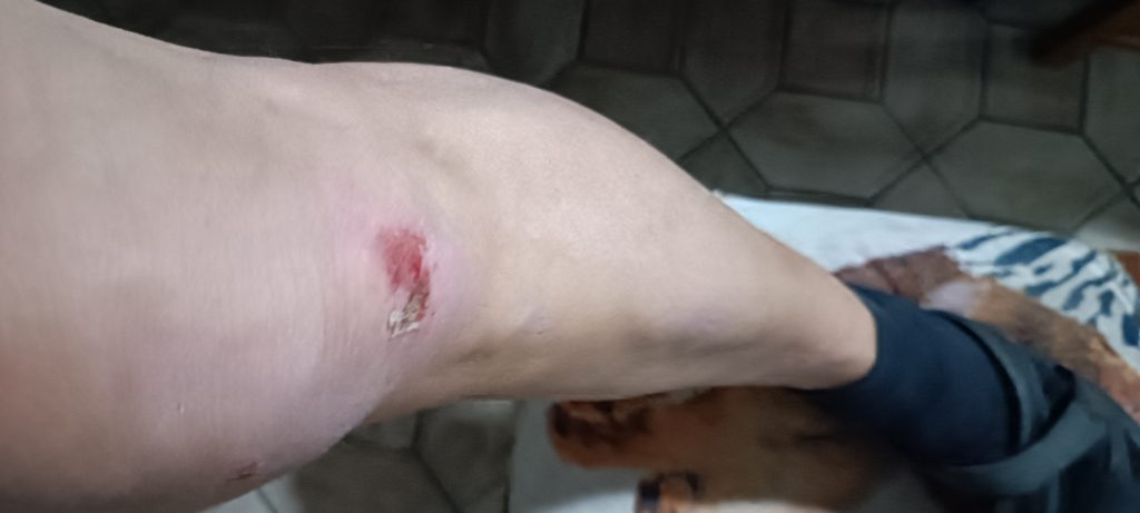 « Tout a été filmé » : accusé d’avoir agressé une directrice d’école et une mère d’élève, il livre sa version au Bulletin Bordelais