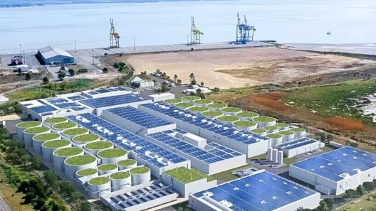 Élevage de saumons au Verdon-sur-Mer : le projet Pure Salmon validé malgré la contestation?