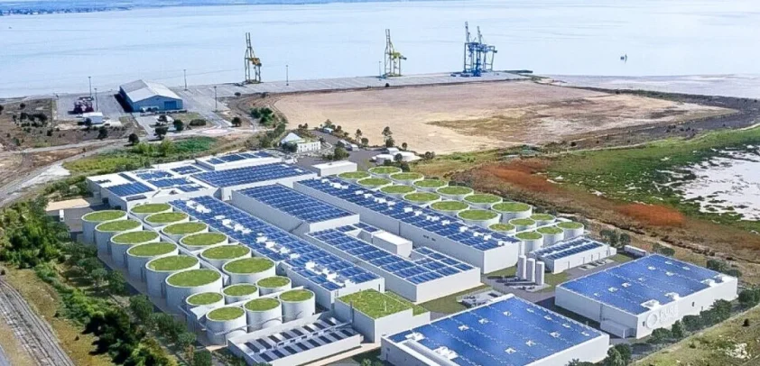 Élevage de saumons au Verdon-sur-Mer : le projet Pure Salmon validé malgré la contestation?