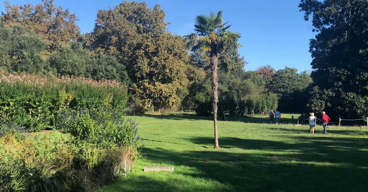 Le parc bordelais s’équipe d’un espace ludique d’une ampleur inédite