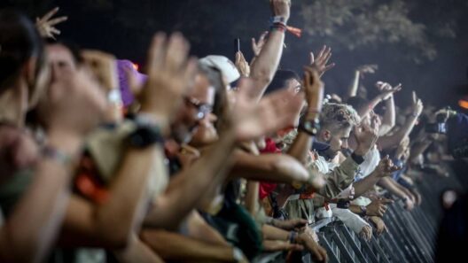 Bordeaux : la programmation du festival « Pagaille » se précise, voici les noms des artistes