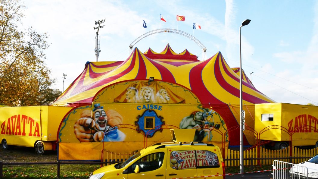 Mérignac : le cirque Zavatta face à une procédure d’expulsion avant ses spectacles