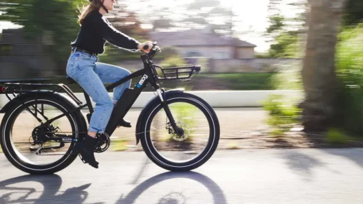Bordeaux : les fatbikes bouleversent le partage de l’espace urbain, les contrôles se multiplient