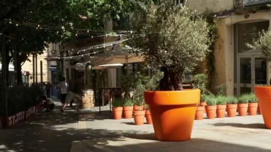 Bordeaux Saint-Michel : le bar Adiu et ses pots de fleurs contre le trafic de stupéfiants divisent le quartier