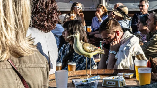 Événement à Bordeaux : la brocante de printemps envahit la place des Quinconces