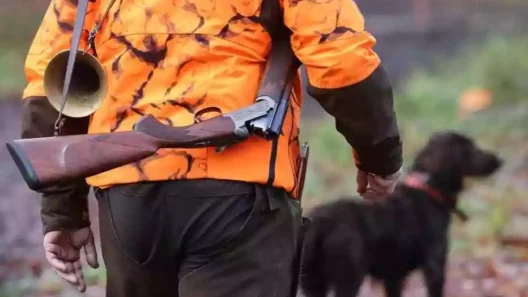 Dordogne : la fédération des chasseurs confrontée à une hausse des dégâts du grand gibier
