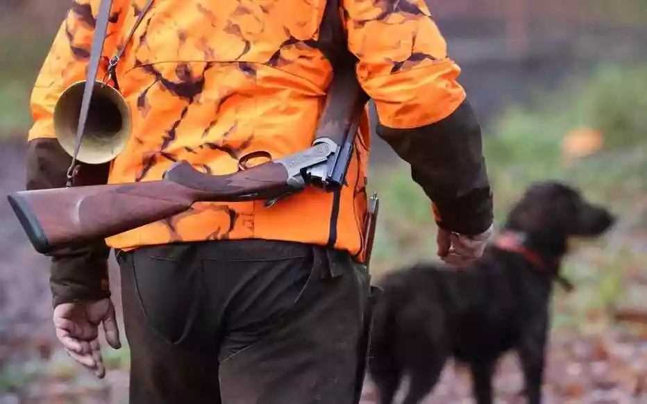 Dordogne : la fédération des chasseurs confrontée à une hausse des dégâts du grand gibier