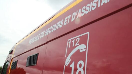 Trélissac en Dordogne : quatre jeunes blessés dans une sortie de route en pleine nuit
