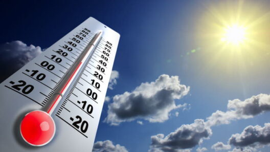 Prévisions météo Bordeaux : jusqu’à 31°C prévus, des températures estivales en avril