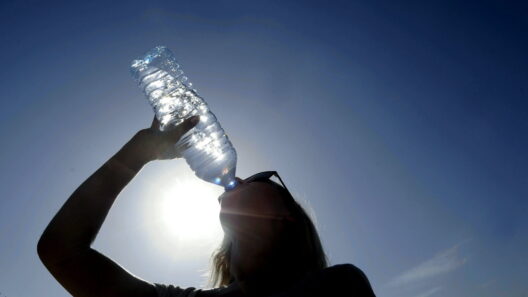 Bordeaux sous la canicule : où trouver de la fraîcheur en soirée ?