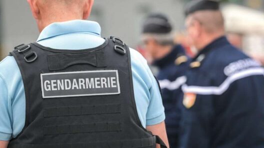 Vol d’armes à feu à Bordeaux : des hommes arrêtés par les enquêteurs