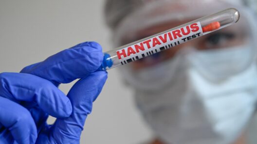 Alerte hantavirus : un patient hospitalisé en Nouvelle-Aquitaine ?