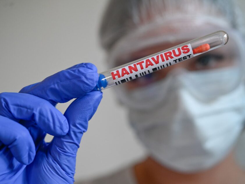 Alerte hantavirus : un patient hospitalisé en Nouvelle-Aquitaine ?