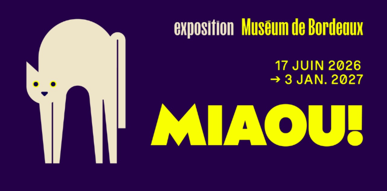 Le Muséum de Bordeaux consacre une exposition inédite à l’univers du chat