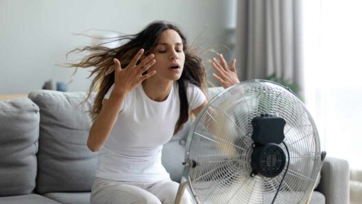 À peine terminée, une nouvelle canicule menace déjà la France début juillet