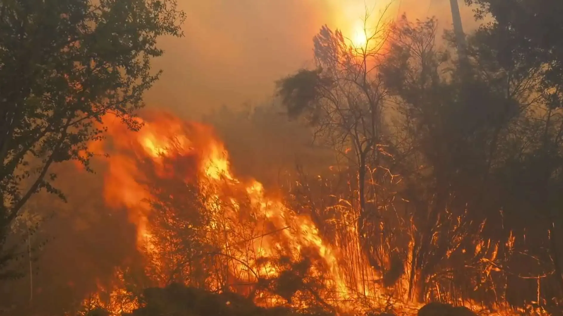 Canicule : le département des Landes frappées par une série d'incendies après les orages