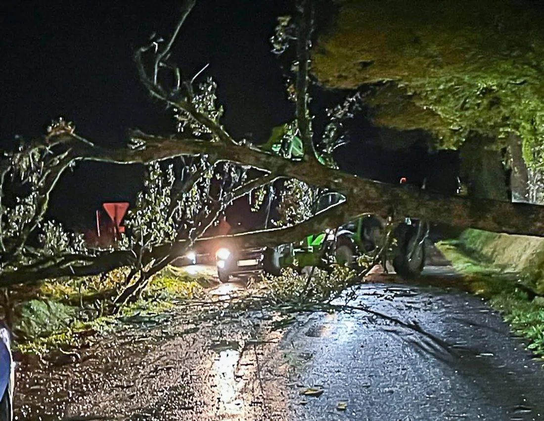 Orages : la foudre multiplie les départs de feu en Dordogne