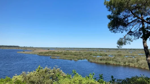 Le Taillan-Médoc tourne la page du Parc naturel régional Médoc