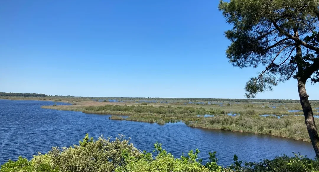 Le Taillan-Médoc tourne la page du Parc naturel régional Médoc