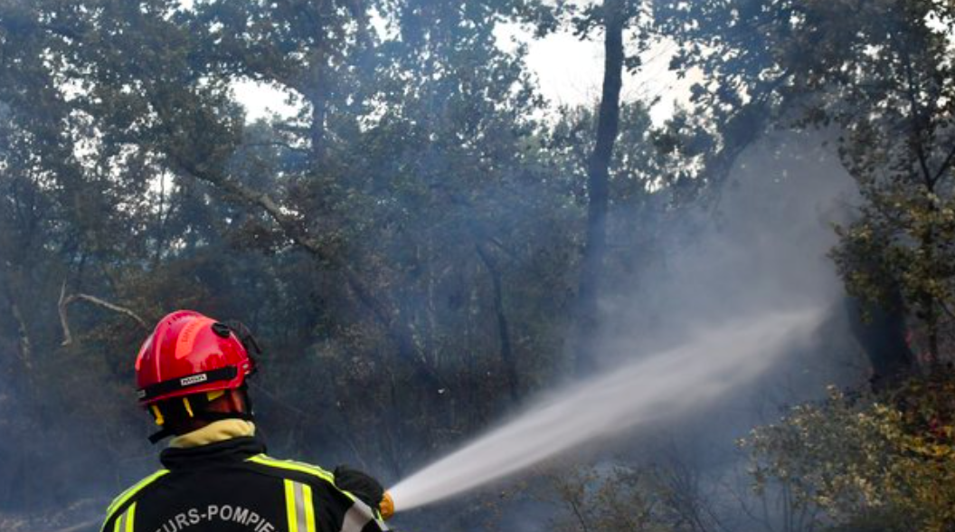 Feu de forêt en Médoc : les secours évitent une propagation plus importante à Avensan