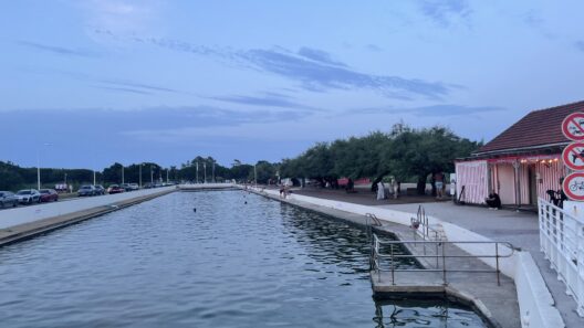 Festival Dansons sur les quais : la danse reprend ses quartiers à Bordeaux