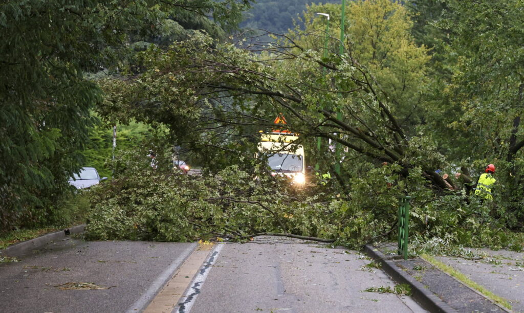 Des milliers de foyers privés de courant après les violents orages en Gironde