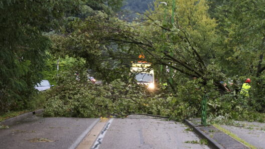 Des milliers de foyers privés de courant après les violents orages en Gironde