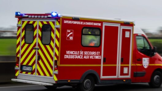 Route de Testarouch : un accident perturbe le réseau électrique et la circulation à Mios