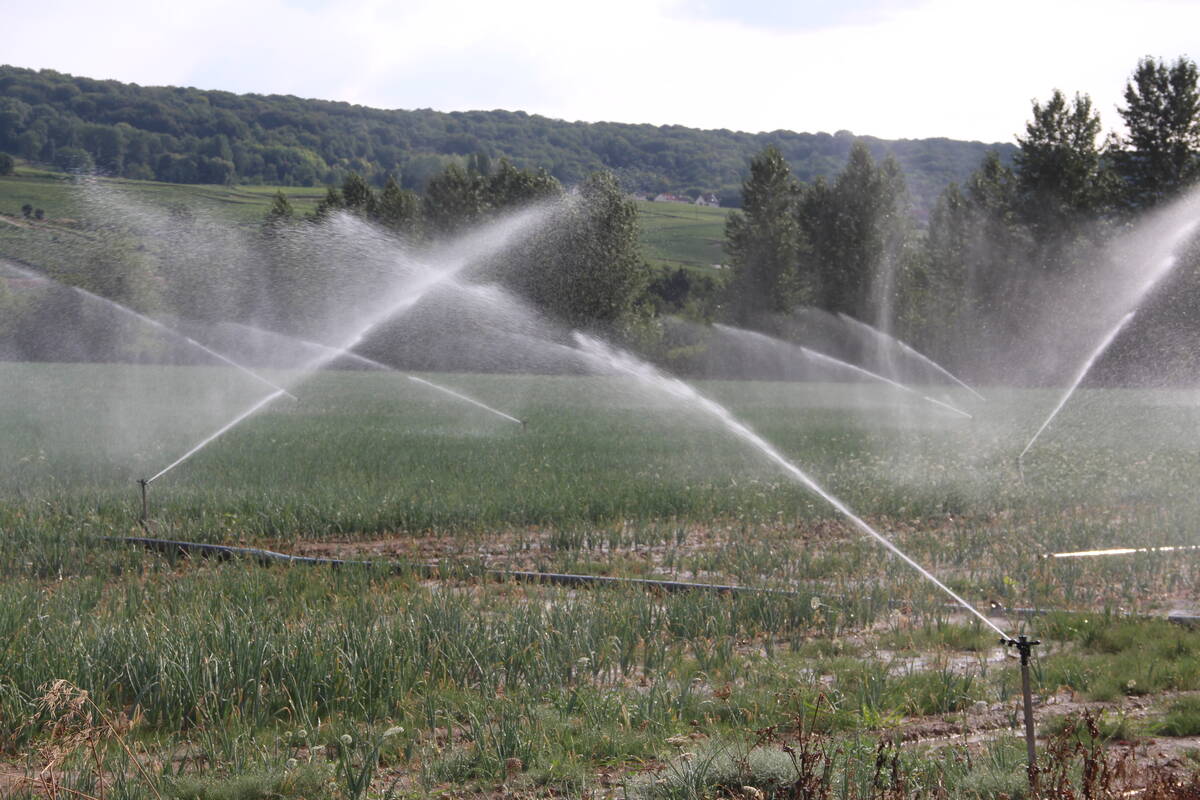 Manque d'eau en Dordogne : les habitants concernés par de nouvelles restrictions
