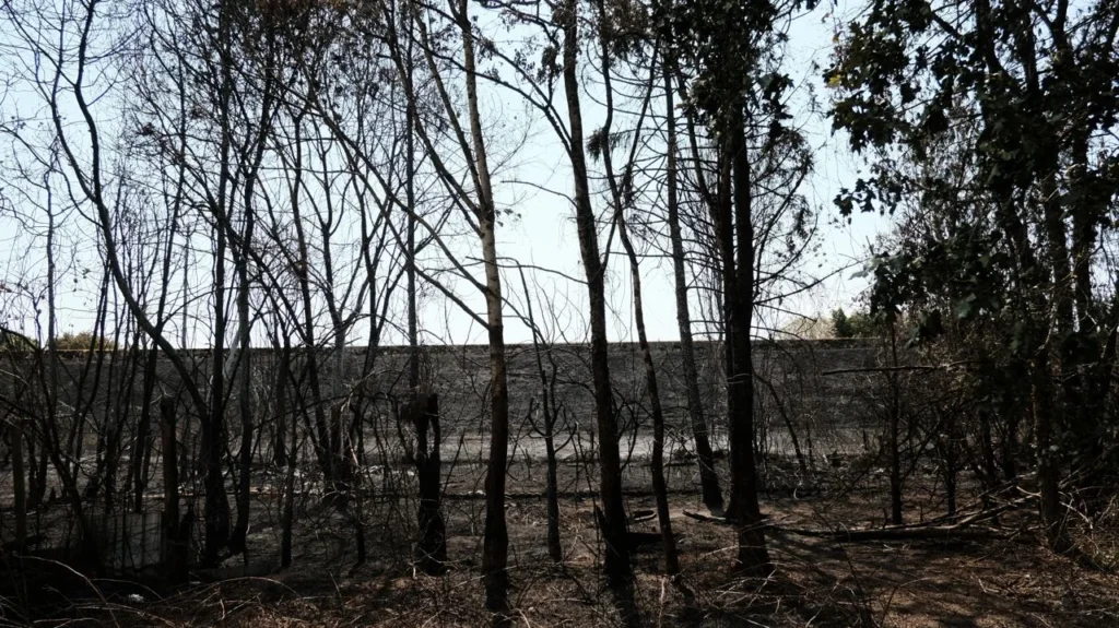 Incendie en Gironde : un mois après, Le Porge attend encore des réponses
