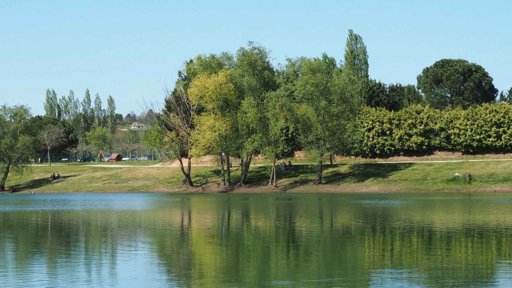 Cyanobactéries au lac de Beaupuy : pourquoi les restrictions sont maintenues