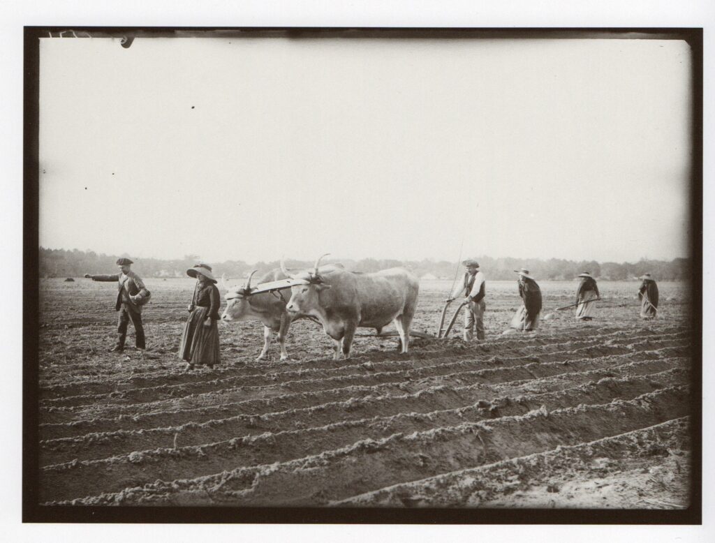 “Cultiver le sable : l’agriculture landaise médiévale et moderne ” conférence de Gabriel VIALATTE Doctorant en histoire médiévale