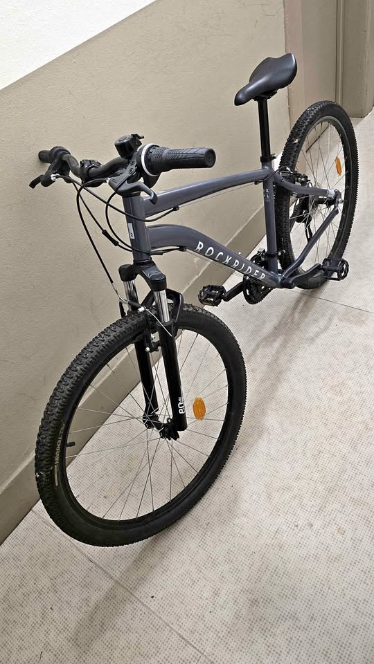 Vélo pour adulte