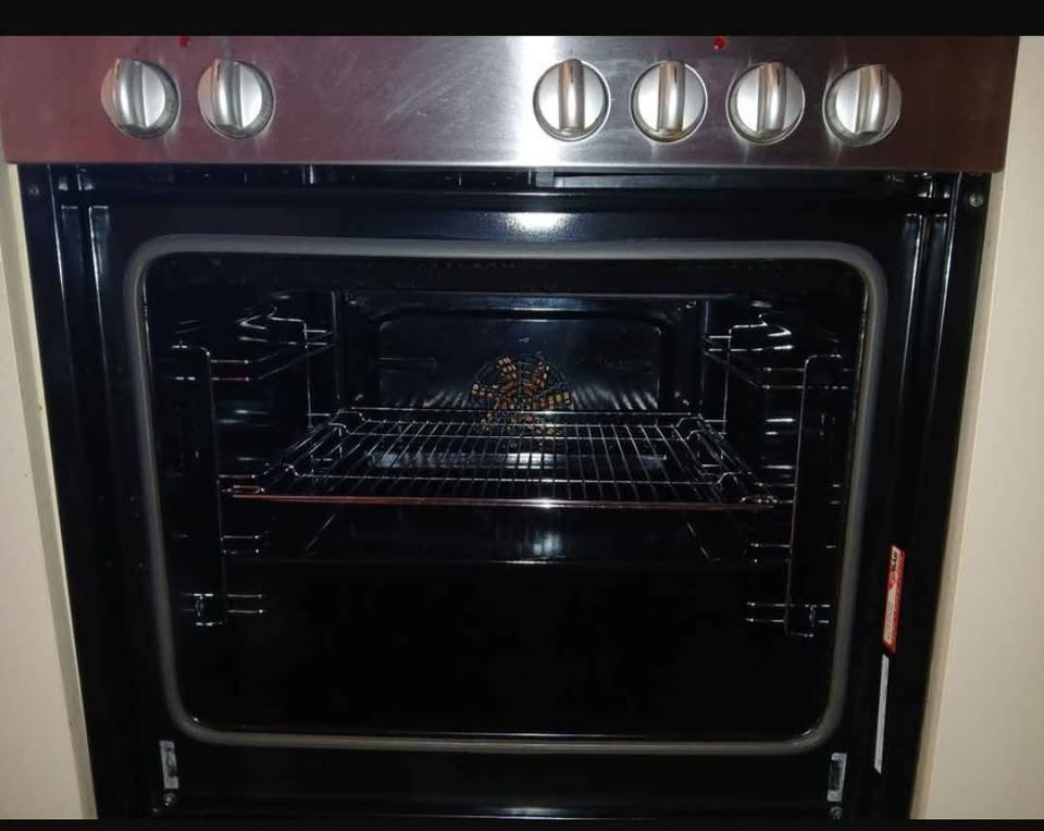 Four avec plaques de cuisson à induction