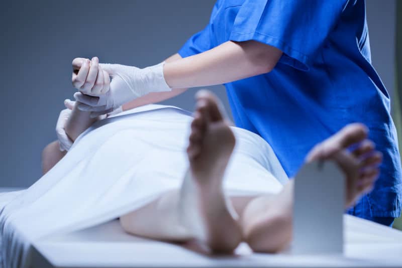 Bègles : le médecin légiste remet en cause les circonstances de sa mort