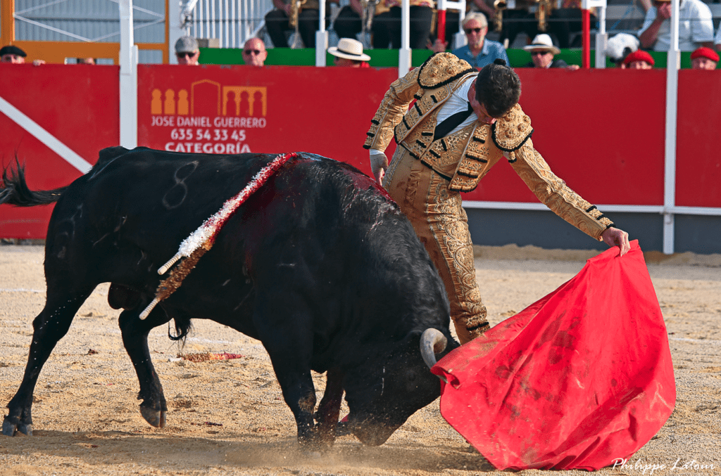 Corrida La Brède, Tradition taurine, Annulation corrida 2025, Tauromachie France, Événement tauromachique, Crise financière corrida, Pénurie de taureaux, La Brède tauromachie, Controverse corrida, Culture taurine Gironde.
