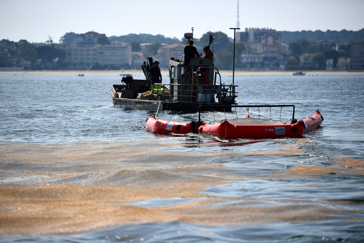 Pollution du bassin d'Arcachon : l'enquête s’accélère avec la garde à vue de deux dirigeantes du Siba et de Veolia