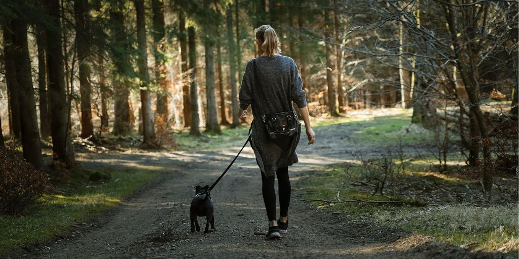 Bordeaux : vague d’empoisonnements de chiens, l’inquiétude monte dans la métropole