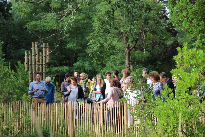 Le Parc des Jalles : Une immersion nature entre animations et découvertes